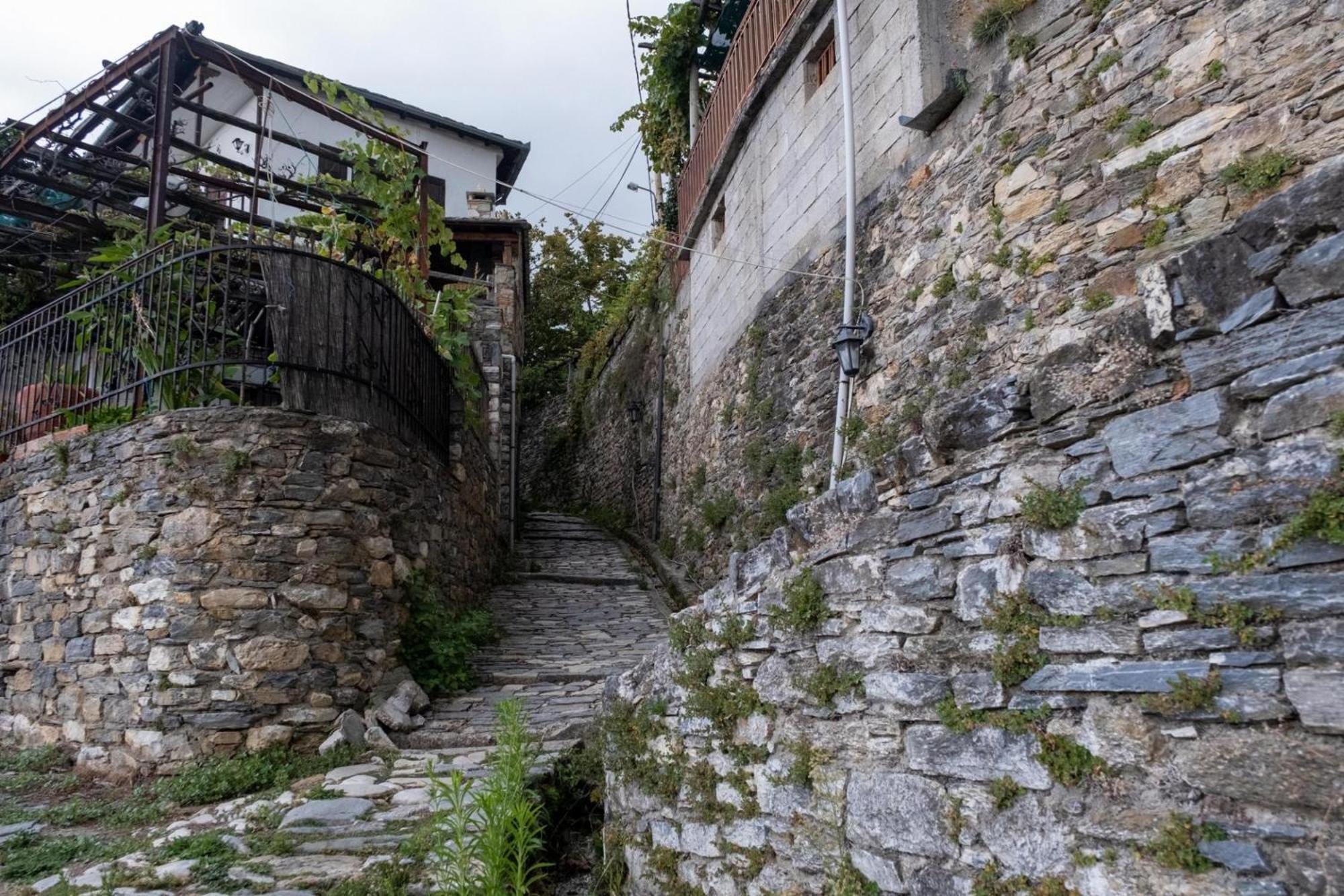 Archontiko Michael Pelion Aparthotel Vizitsa Exterior photo